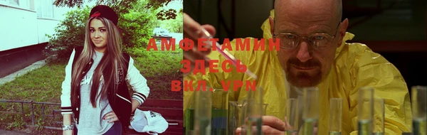 мет Алексин