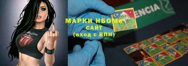 мет Алексин