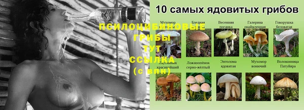 прущая мука Абдулино
